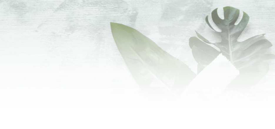 BUNCH OF FUN PLAY & PARTY